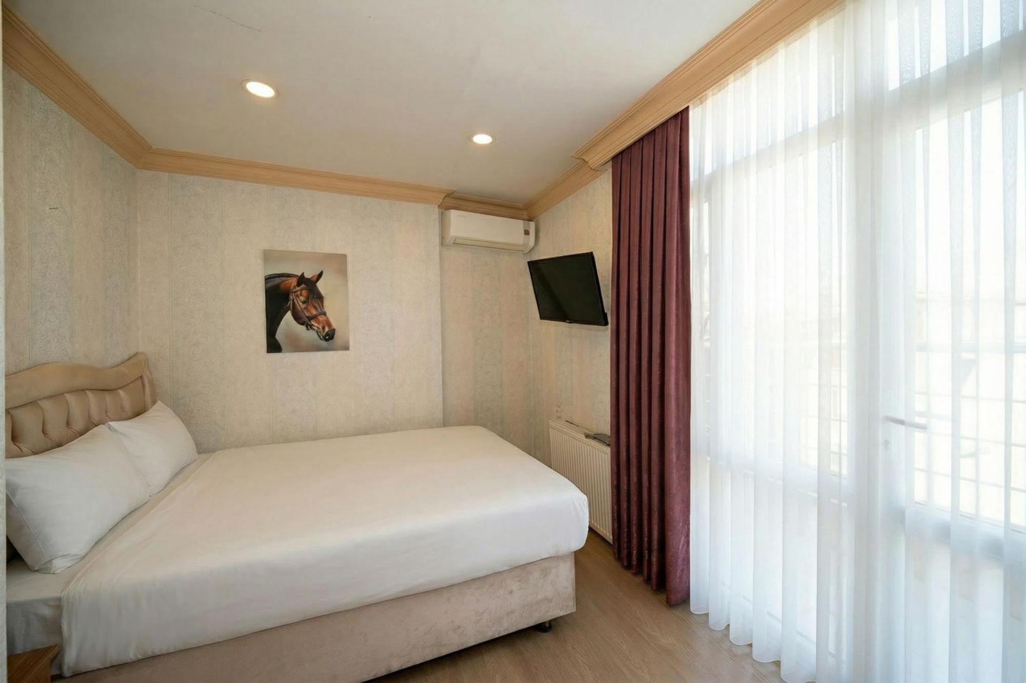 Maxwell Hotel — Fotoğraflar 1